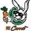 Fit Carrot - logo